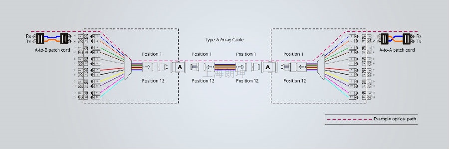 concerning_polarity_based_12pic01.jpg